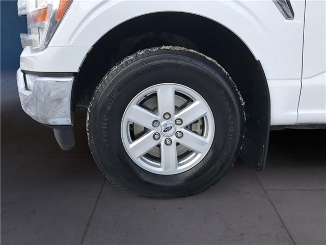 2022 Ford F-150  (Stk: 11954) in Golden - Image 16 of 17