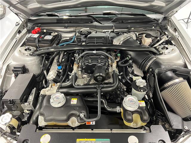 2009 Ford Shelby GT500 (Stk: 144625) in Watford - Image 34 of 40 2009 Ford Shelby GT500 (Stk: 144625) in Watford - Image 34 of 40