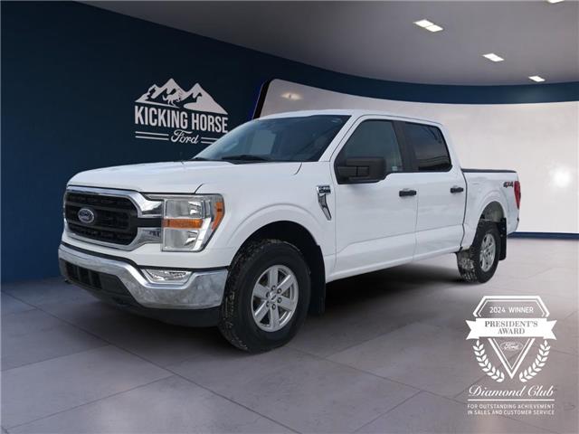 2022 Ford F-150  (Stk: 11954) in Golden - Image 1 of 17
