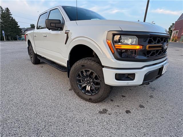 2024 Ford F-150 Tremor (Stk: ZTREMOR) in Sudbury - Image 5 of 16