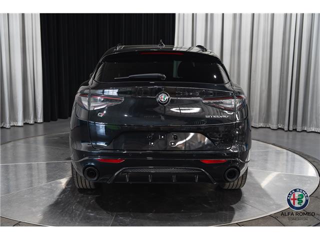 2025 Alfa Romeo Stelvio Base (Stk: AR2543) in Edmonton - Image 4 of 26
