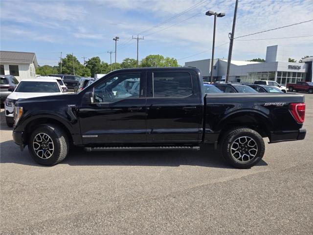 2022 Ford F-150 XLT (Stk: UT24646) in Cobourg - Image 3 of 14