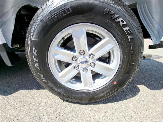 2025 Ford F-150 XL (Stk: TS558) in Kamloops - Image 6 of 24