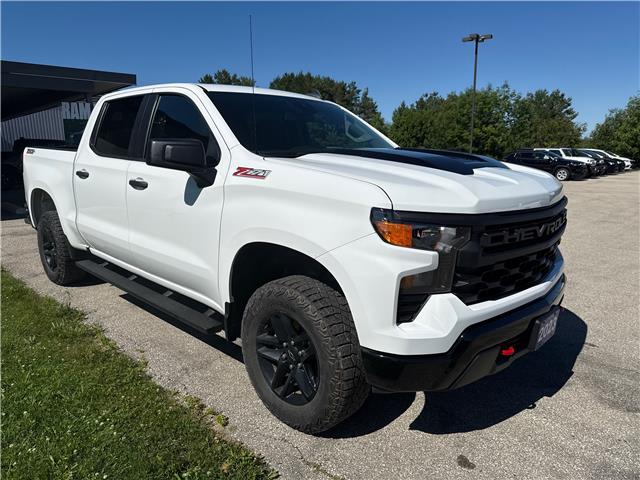2023 Chevrolet Silverado 1500 Custom Trail Boss (Stk: 0189P) in Meaford - Image 3 of 13