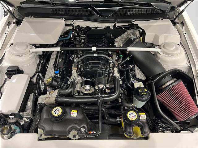 2008 Ford Shelby GT500 Base (Stk: 144554) in Watford - Image 33 of 38