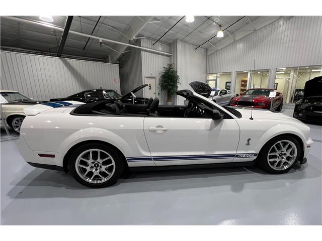 2008 Ford Shelby GT500 Base (Stk: 144554) in Watford - Image 13 of 38