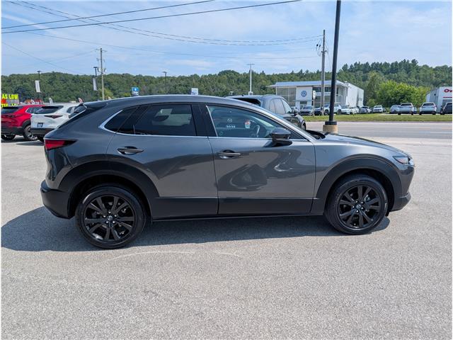 2022 Mazda CX-30 GT w/Turbo (Stk: 03647P) in Owen Sound - Image 6 of 21