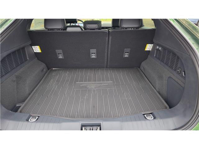 2024 Ford Mustang Mach-E Premium (Stk: I49268) in Hague - Image 10 of 15