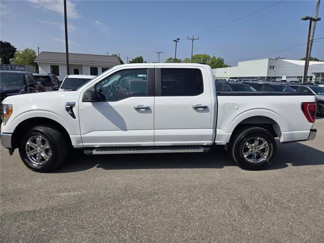 2022 Ford F-150  (Stk: UT74808) in Cobourg - Image 3 of 14