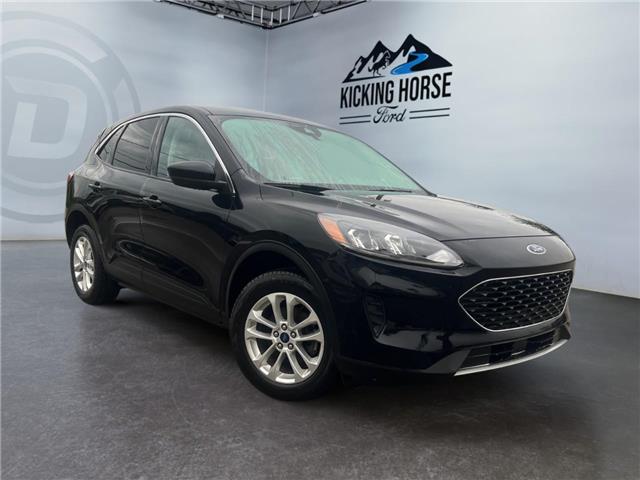 2021 Ford Escape SE Hybrid (Stk: 15170) in Golden - Image 3 of 17