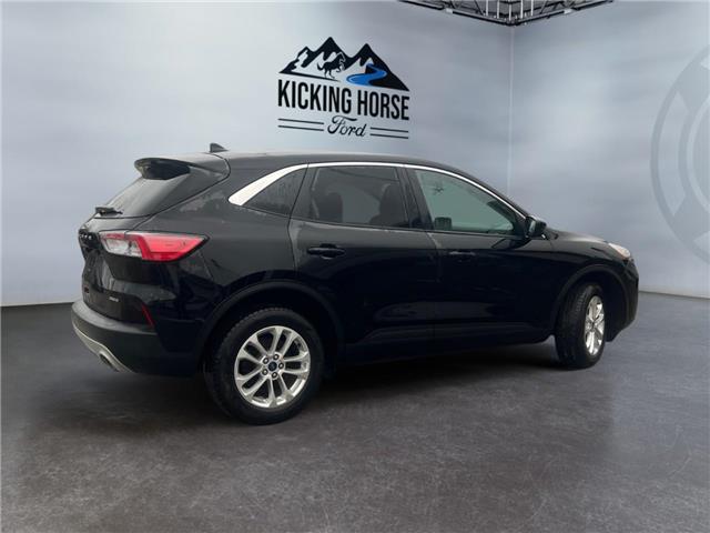 2021 Ford Escape SE Hybrid (Stk: 15170) in Golden - Image 5 of 17