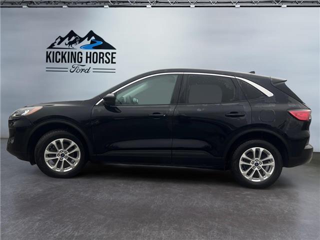 2021 Ford Escape SE Hybrid (Stk: 15170) in Golden - Image 8 of 17