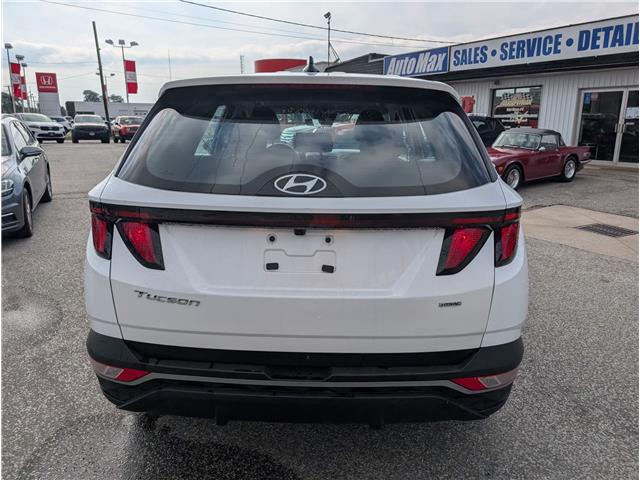 2023 Hyundai Tucson ESSENTIAL (Stk: B1869) in Sarnia - Image 6 of 25