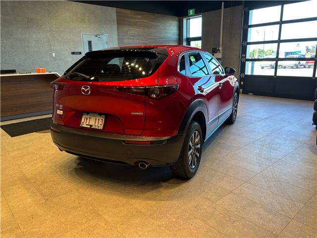 2021 Mazda CX-30 GX (Stk: C3028A) in Miramichi - Image 3 of 8