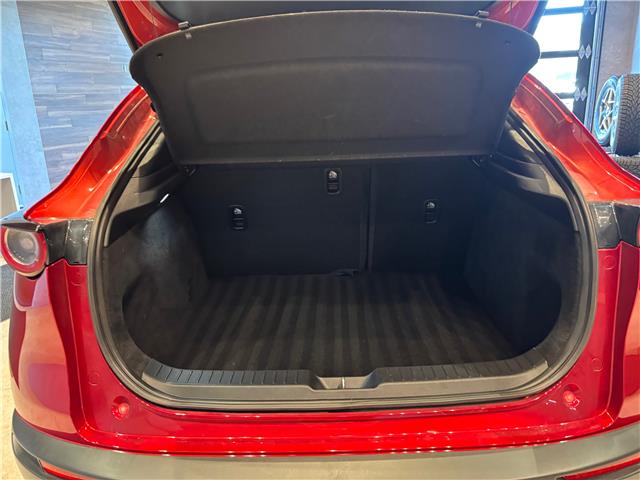 2021 Mazda CX-30 GX (Stk: C3028A) in Miramichi - Image 8 of 8
