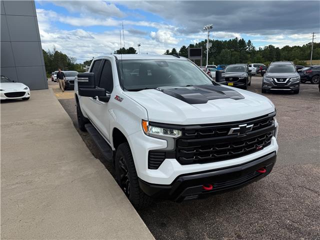 2023 Chevrolet Silverado 1500 LT Trail Boss (Stk: 24547) in Pembroke - Image 6 of 29