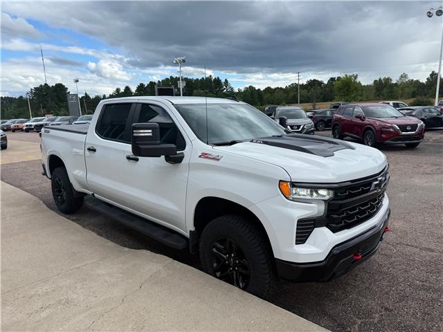 2023 Chevrolet Silverado 1500 LT Trail Boss (Stk: 24547) in Pembroke - Image 7 of 29