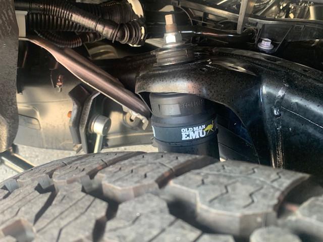 2025 Toyota Tacoma Hybrid Base (Stk: TB229) in Cobourg - Image 9 of 11