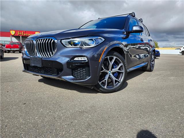 2019 BMW X5 xDrive40i (Stk: J25054-1) in Brandon - Image 2 of 24