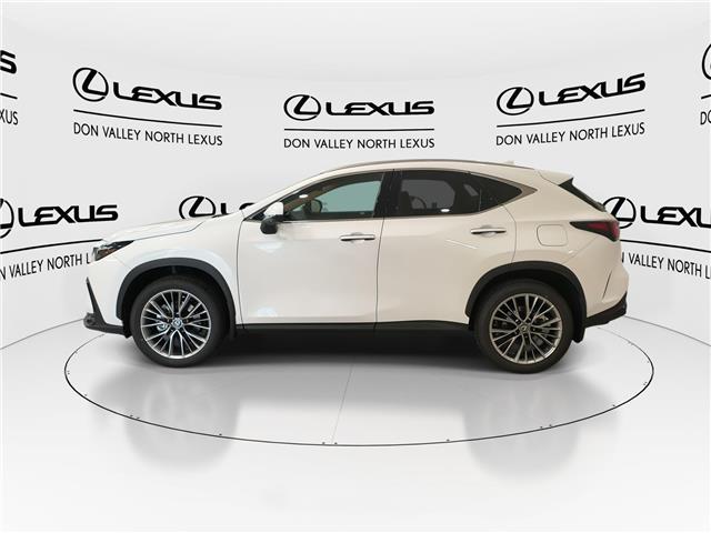 2026 Lexus NX 350  (Stk: 14111080) in Markham - Image 6 of 15