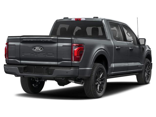 2025 Ford F-150 Platinum (Stk: 256585) in Vancouver - Image 3 of 12
