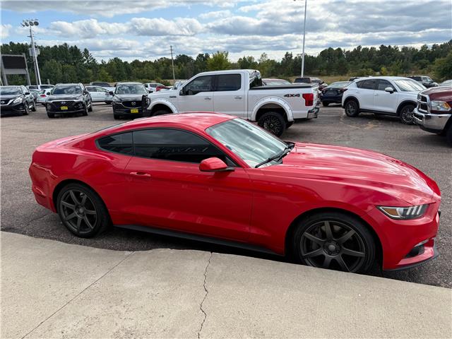 2016 Ford Mustang EcoBoost (Stk: 24527) in Pembroke - Image 8 of 21