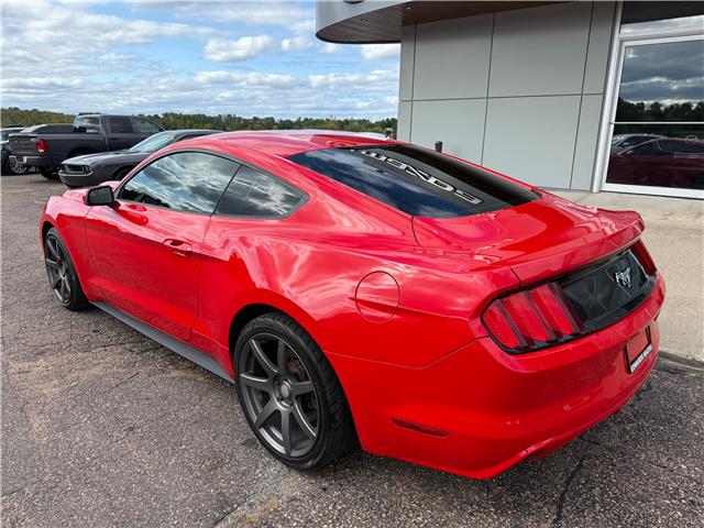 2016 Ford Mustang EcoBoost (Stk: 24527) in Pembroke - Image 13 of 21
