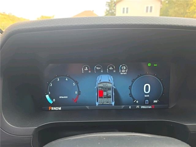 2025 Ford F-150 XLT (Stk: ZXLT) in Sudbury - Image 13 of 22 2025 Ford F-150 XLT (Stk: ZXLT) in Sudbury - Image 13 of 22