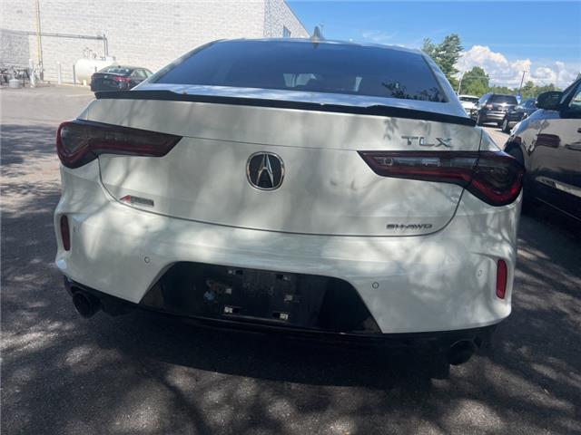 2024 Acura TLX A-Spec (Stk: 25P132) in Kingston - Image 8 of 9
