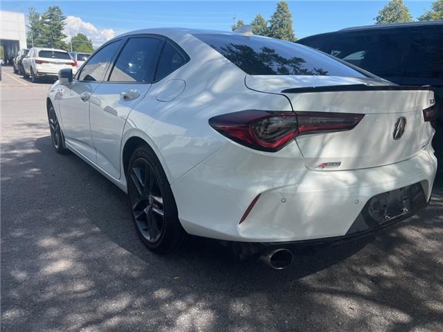 2024 Acura TLX A-Spec (Stk: 25P132) in Kingston - Image 9 of 9