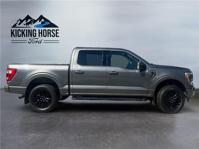 2023 Ford F-150  (Stk: 15195) in Golden - Image 4 of 17