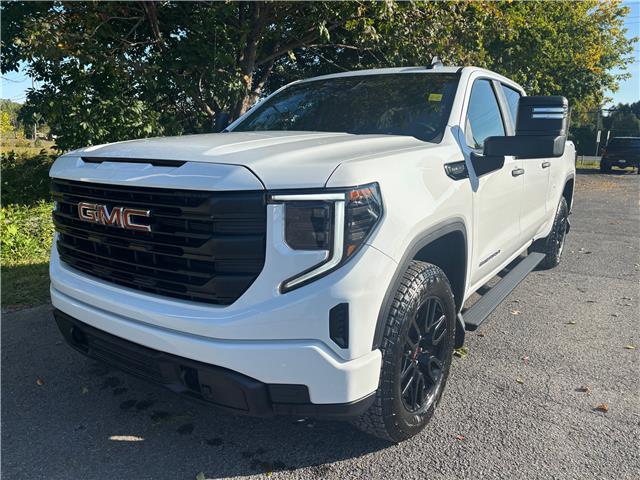 2026 GMC Sierra 1500 Pro (Stk: 26041) in Green Valley - Image 1 of 16