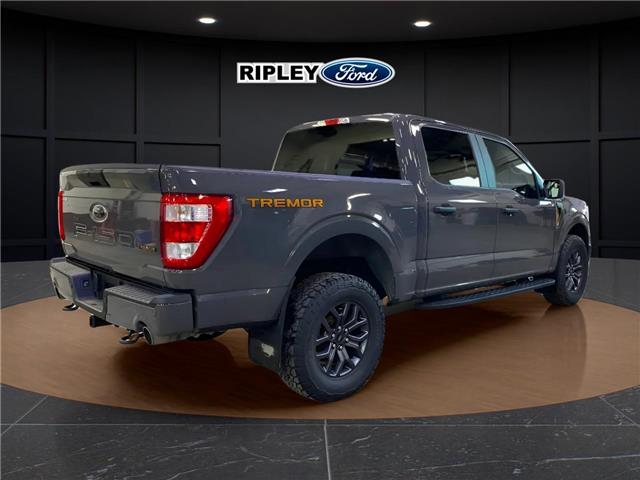 2021 Ford F-150 Tremor (Stk: 25092B) in Melfort - Image 4 of 11