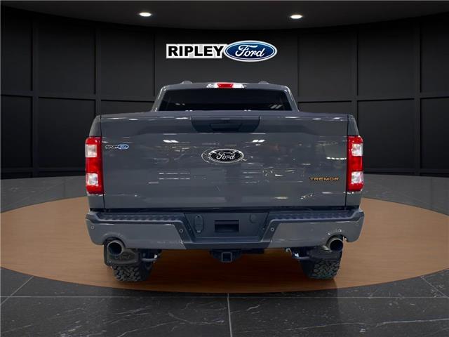 2021 Ford F-150 Tremor (Stk: 25092B) in Melfort - Image 5 of 11