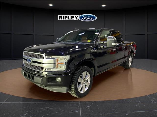 2019 Ford F-150 Platinum (Stk: 25047B) in Melfort - Image 1 of 7