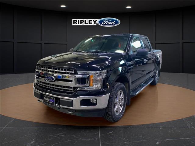 2019 Ford F-150 XLT (Stk: 25048A) in Melfort - Image 1 of 6