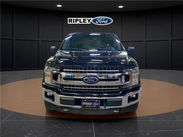 2019 Ford F-150 XLT (Stk: 25048A) in Melfort - Image 2 of 6
