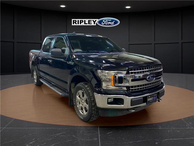 2019 Ford F-150 XLT (Stk: 25048A) in Melfort - Image 3 of 6
