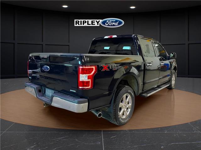 2019 Ford F-150 XLT (Stk: 25048A) in Melfort - Image 4 of 6