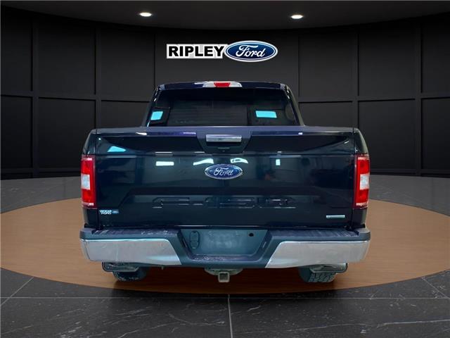 2019 Ford F-150 XLT (Stk: 25048A) in Melfort - Image 5 of 6