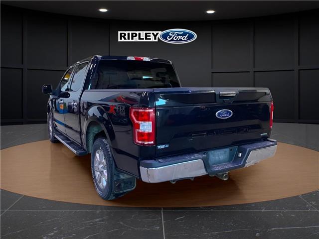2019 Ford F-150 XLT (Stk: 25048A) in Melfort - Image 6 of 6