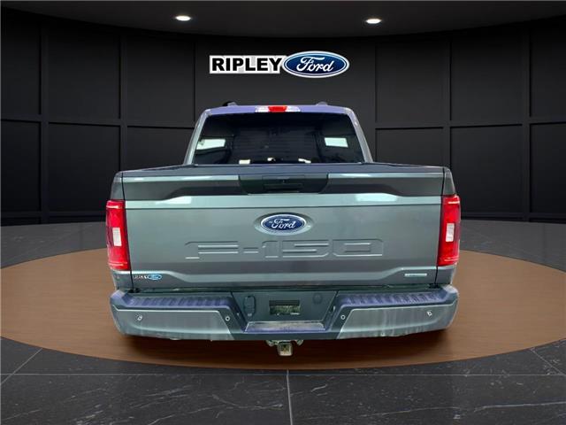 2022 Ford F-150 XL (Stk: 25255A) in Melfort - Image 5 of 9