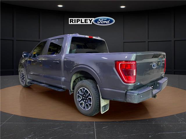 2022 Ford F-150 XL (Stk: 25255A) in Melfort - Image 6 of 9