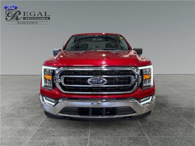 2022 Ford F-150 XLT (Stk: S9684A) in ROSETOWN - Image 8 of 17