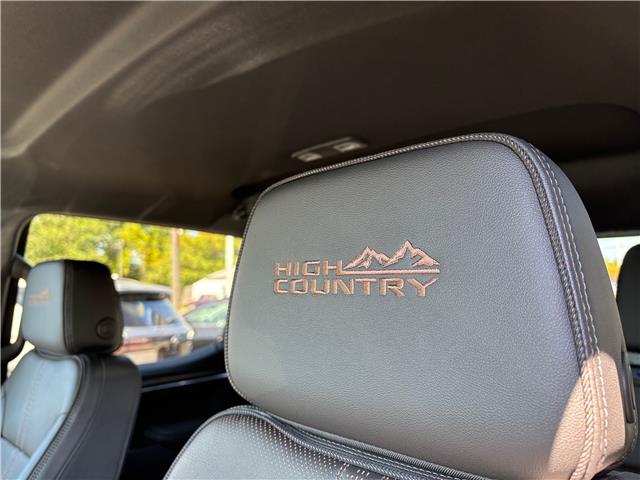 2026 Chevrolet Silverado 1500 High Country (Stk: TT114880) in Caledonia - Image 31 of 33