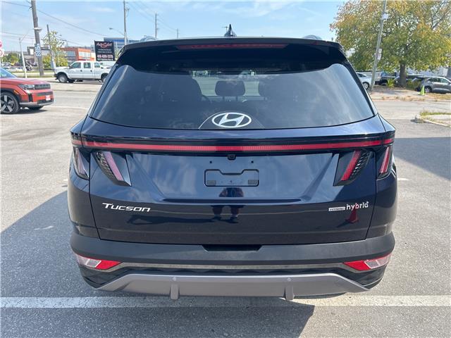 2024 Hyundai Tucson Hybrid Luxury (Stk: 35071A) in Scarborough - Image 4 of 19