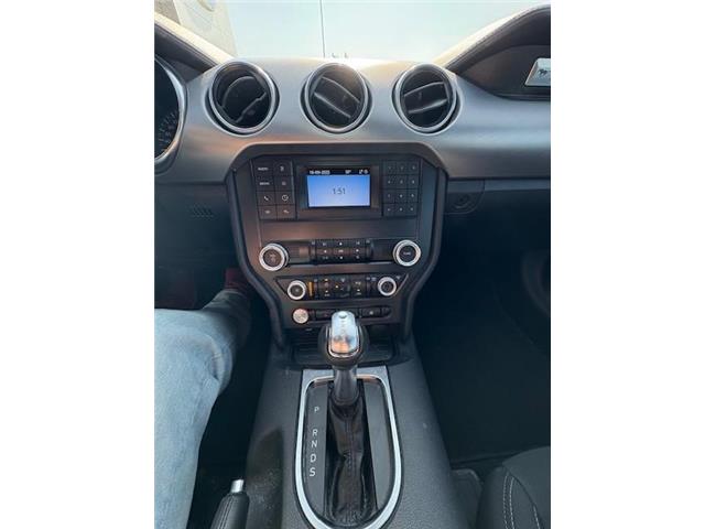 2022 Ford Mustang GT Premium (Stk: 25S4178A) in Pincher Creek - Image 8 of 8 2022 Ford Mustang GT Premium (Stk: 25S4178A) in Pincher Creek - Image 8 of 8