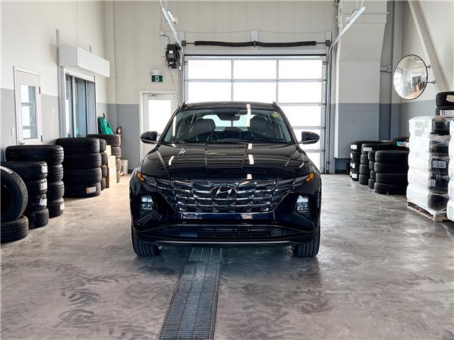 2023 Hyundai Tucson Hybrid Luxury (Stk: 25202A) in Prince Albert - Image 8 of 14