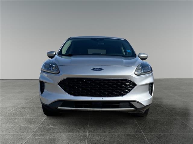2020 Ford Escape SE (Stk: BP2887) in Saskatoon - Image 8 of 15