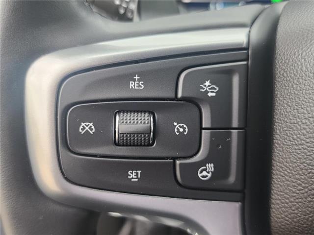 2024 Chevrolet Silverado 1500 LT Trail Boss (Stk: N250704A) in Stony Plain - Image 45 of 50